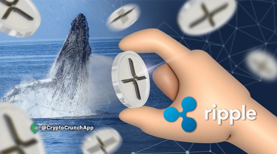 288-میلیون-xrp-توسط-نهنگ-هاى-بزرگ-ريپل-جابجا-شد