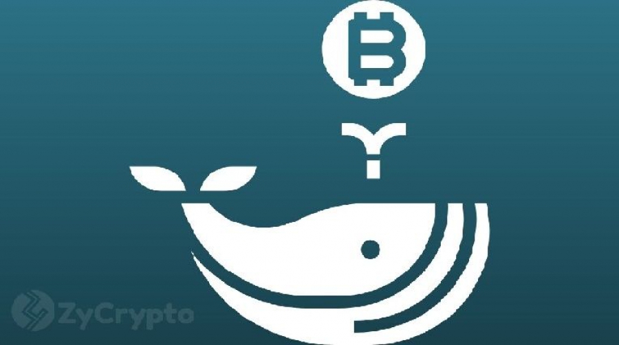 5800-بیت‌کوین-توسط-نهنگ‌ها-به-صرافی-کوین‌-بیس-منتقل-شد