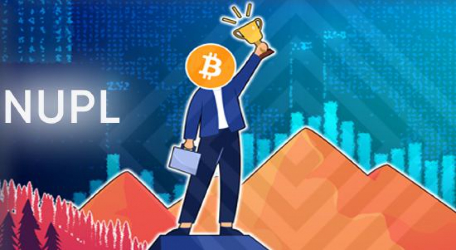 nupl-در-تحلیل-آنچین-چیست؟