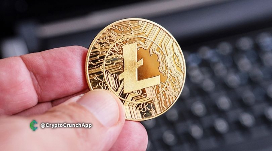 آدرسهاى-فعال-لایت-کوین-از-اتریوم-پیشی-گرفت