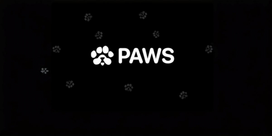 آغاز-معاملات-توکن-ایردراپ-paws