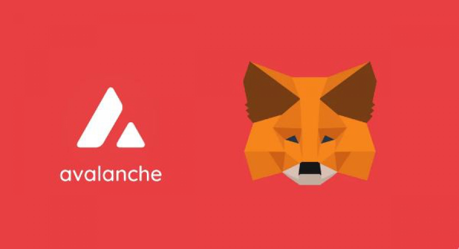 آموزش-اتصال-متاماسک-metamask-به-اولنچ-avalanche-network