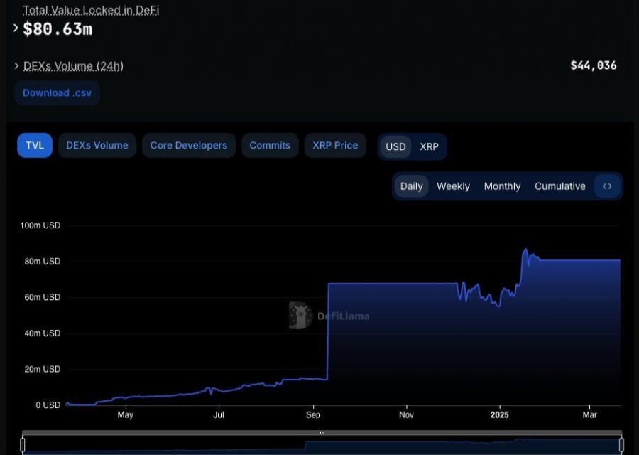 ادعای-جنجالی-درباره-xrp-بزرگ‌ترین-کلاهبرداری-مالی-تاریخ