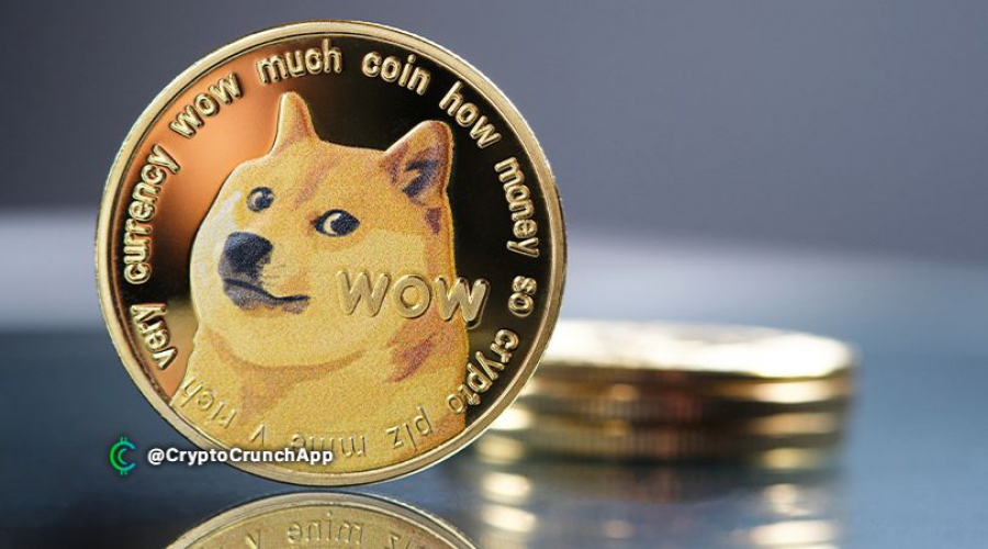 از-زمان-افزایش-قیمت-dogecoin،-بیش-از-1000-نفر-میلیونر-شده-اند