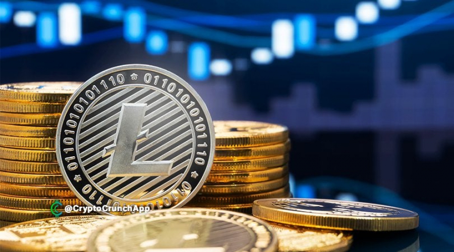 افزایش-قیمت-لایت-کوین-پس-از-لیست-شدن-در-شبکه-غول-پرداخت-های-بین-الملل-پی-پال