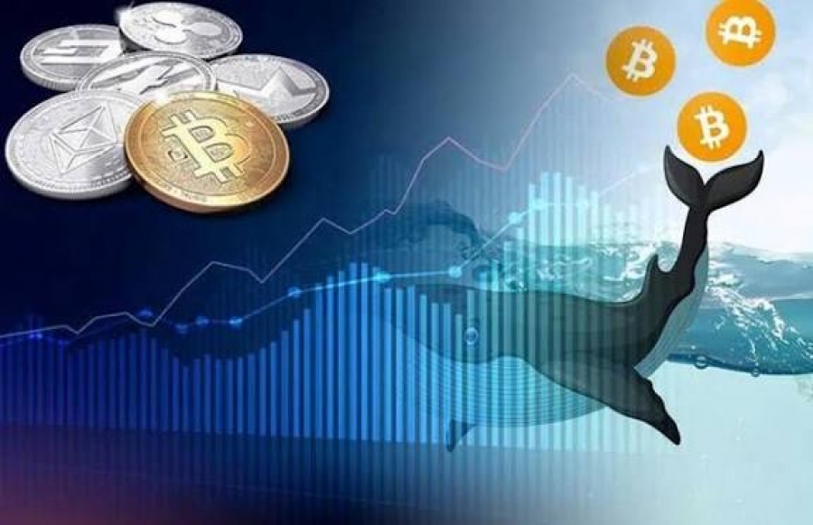 بازگشت-نهنگ‌های-قدیمی-به-فروش-بیت‌-کوین