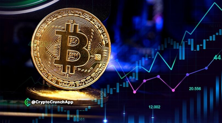 بررسی-اجمالی-بازار-خرسی-کریپتوکارنسی