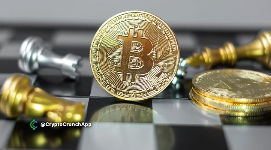 بیت-کوین-با-وجود-هیاهوی-میم-کوینها-همچنان-بر-اساس-نرخ-بازگشت-سرمایه-در-صدر-قرار-دارد