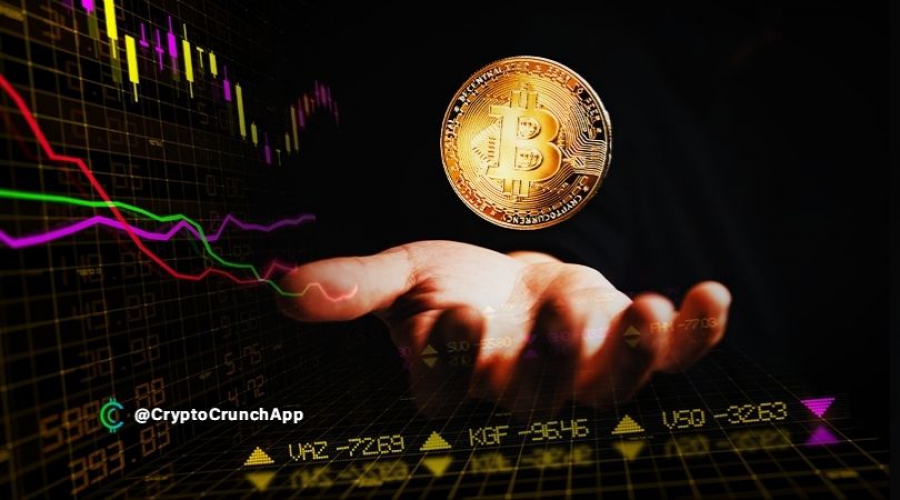 بیت-کوین-تنها-در-یک-ماه-به-بیش-از-350000-هولدر-جدید-رسید