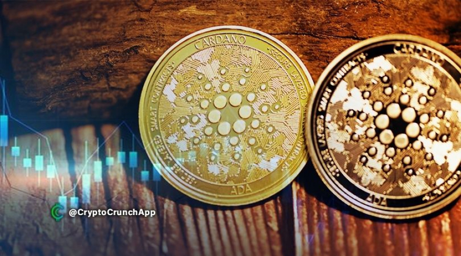 بیش-از-200،000-آدرس-جدید-استيك-شده-برای-کاردانو-در-3-ماه-گذشته-اضافه-شد