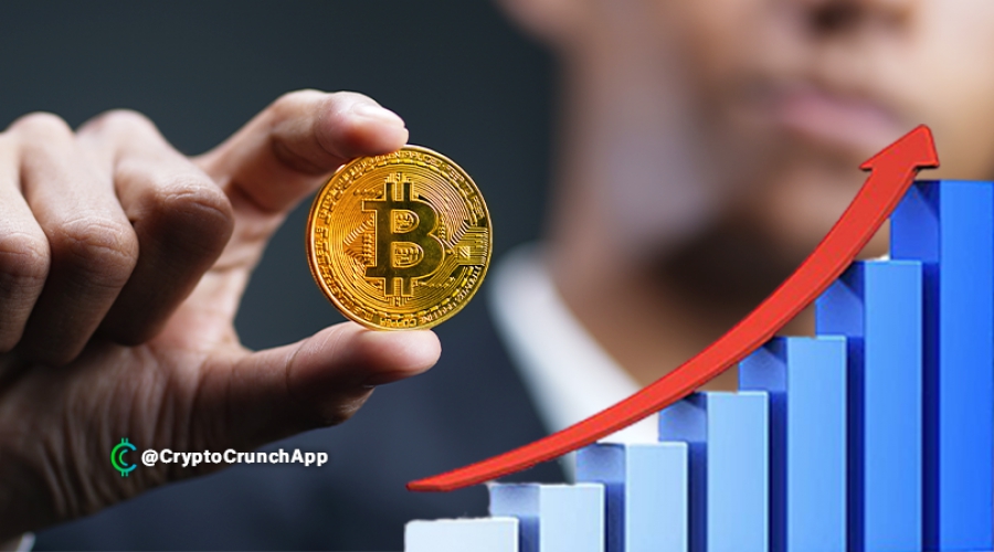 بیش-از-2،000-آدرس-بیت-کوین-بیش-از-1000-بیت-کوین-دارند