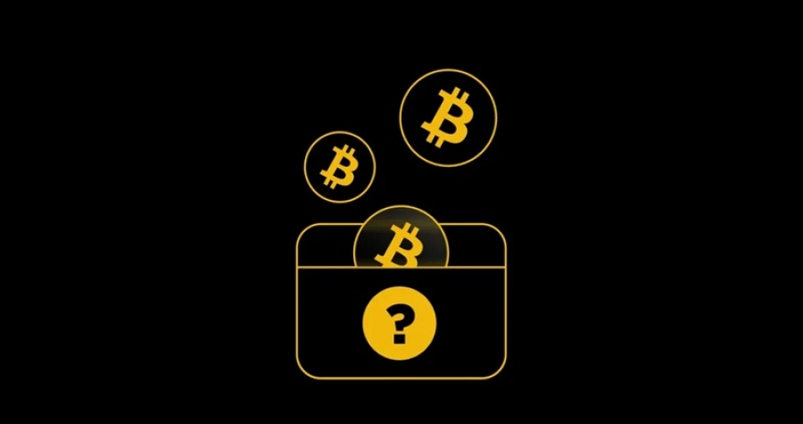 بیشترین-بیت-کوین-دنیا-متعلق-به-کیست؟