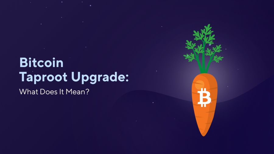 تاثیر-taproot-upgrade-آپگرید-تپ-روت-بر-قیمت-بیت‌کوین