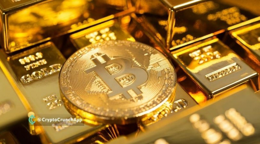 تایلر-وینکلوس-بیت-کوین-10-برابر-بهتر-از-طلا-است