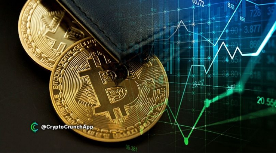 تعداد-کاربران-جدید-و-کیف-پولهای-بیت-کوین-به-سقف-جدیدی-رسیده-است