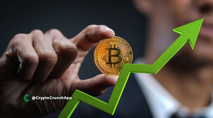 تقريبا-99-7-درصد-از-کل-دارندگان-بیت-کوین-در-حال-حاضر-در-سود-هستند