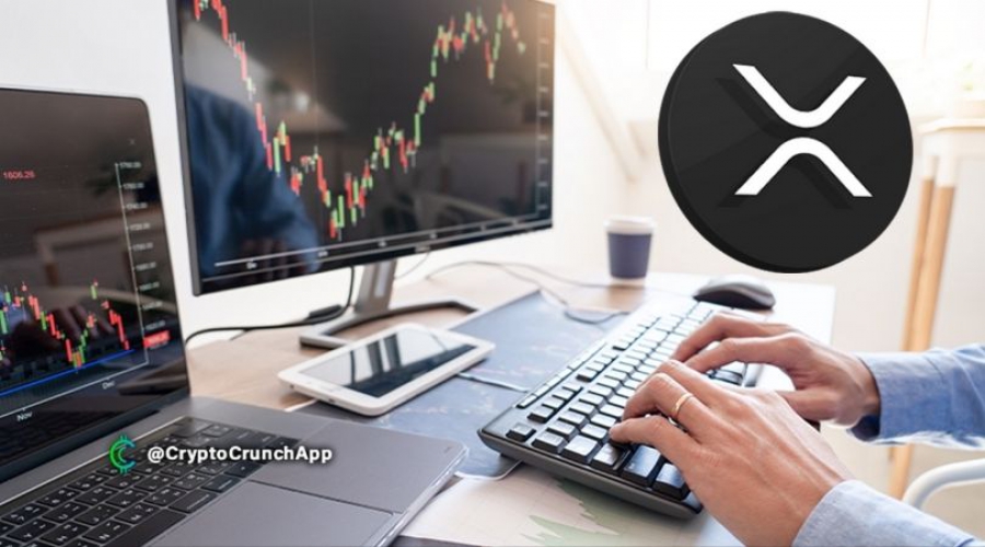 دارایی-های-تحت-مدیریت-موسسات-سرمایه-گذاری-xrp-تقریباً-دو-برابر-می-شود