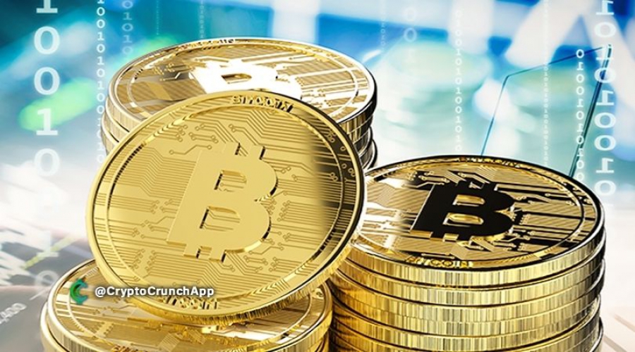 دارندگان-بلند-مدت-بیت-کوین،-بیت-کوین-بیشتری-را-هولد-و-جمع-آورى-می-کنند