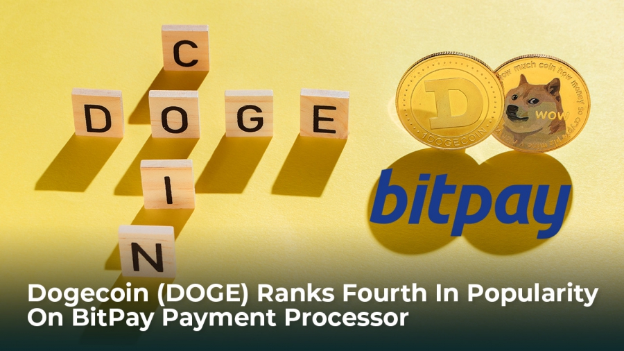 دوج-كوين-doge-چهارمین-رمزارز-محبوب-در-بیت-پی-شد