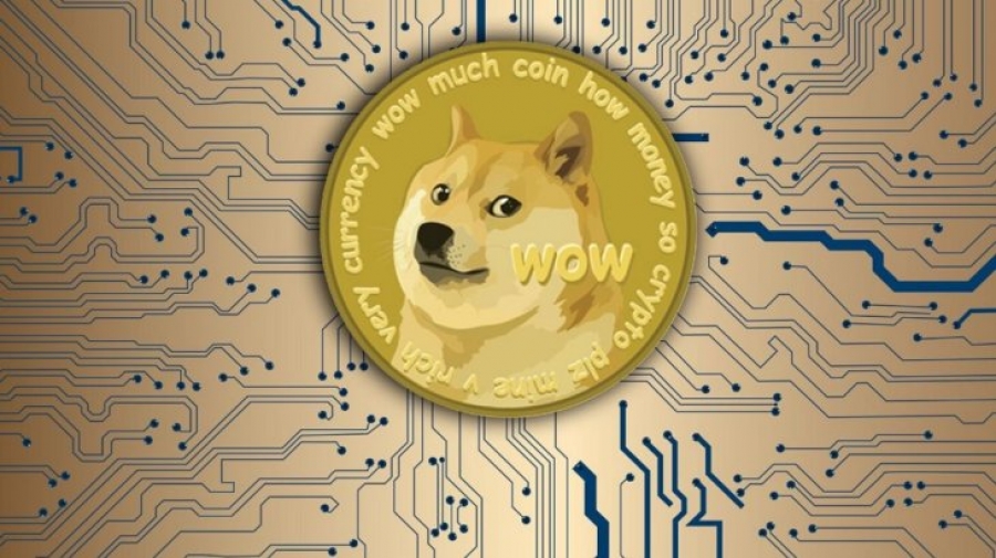 رشد-۸-درصدی-دوج-کوین-پس-از-راه‌اندازی-صندوق-ذخیره-doge