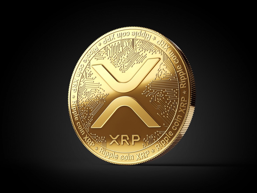 ريپل-پامپ-شد-آيا-سود-بیشتری-در-xrp-مى-خواهيد؟