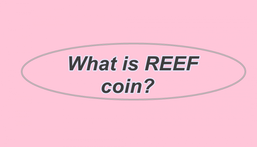 ریف-reef-چیست؟
