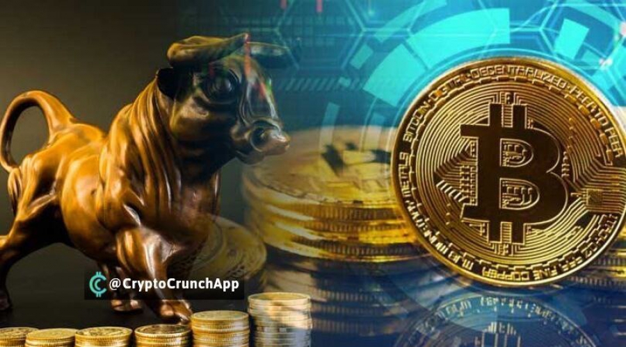 سرمایه-گذاران-هولدكننده-بیت-کوین-در-انتظار-بازار-گاوى-٢٠٢١-هستند