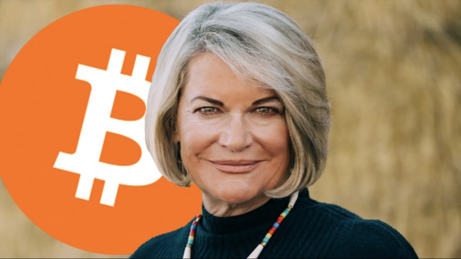 سناتور-لومیس-بیت-کوین-سپری-در-برابر-تورم