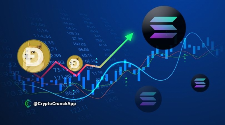 سولانا-دوج-کوین-را-پشت-سر-گذاشت