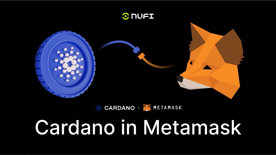 شبکه-کاردانو-به-کیف-پول-metamask-اضافه-شد