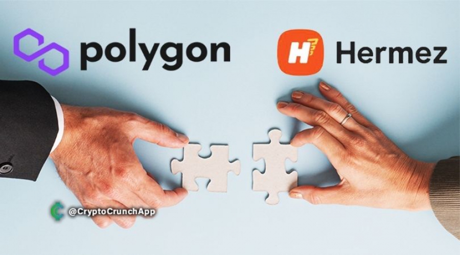 شرکت-polygon-شبکه-hermez-با-ارزش-250-میلیون-دلار-توکن-خریداری-کرد