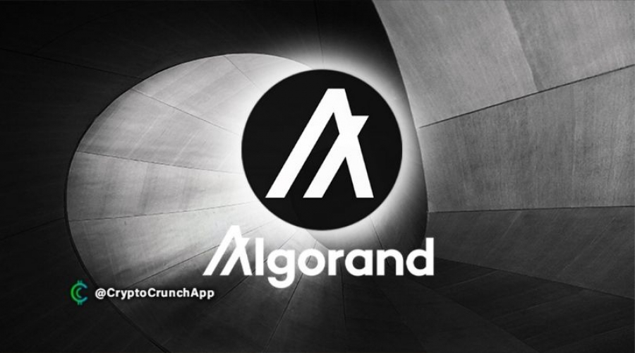 صندوق-نوآوری-300-میلیون-دلاری-جهت-رشد-ديفاى-توسط-بنیاد-algorand-راه-اندازی-شد