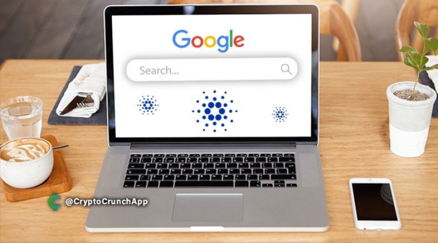 علاقه-به-کاردانو-و-افزایش-پذیرش-آن-در-بازار-رمزارزها