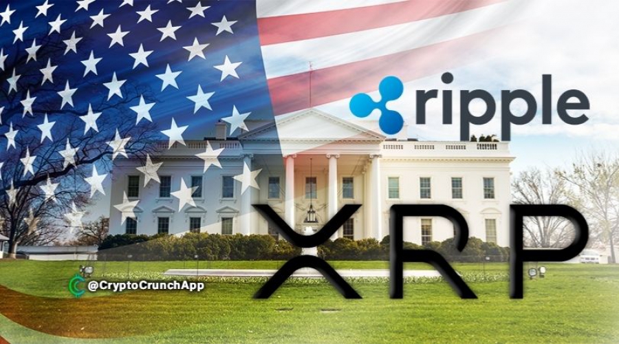 علاقه-مندان-به-xrp-از-دادگاه-کاخ-سفید-در-مورد-شكايت-sec-درخواست-كمك-كردند
