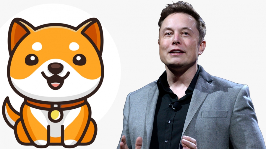 قیمت-baby-doge-با-توییت‌های-اخیر-ایلان-ماسک-تا-90-درصد-پامپ-شد