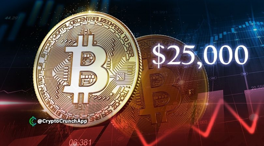 قیمت-بیت-کوین-پس-از-عبور-از-25000-دلار-به-بالاترین-سقف-قیمت-خود-رسید