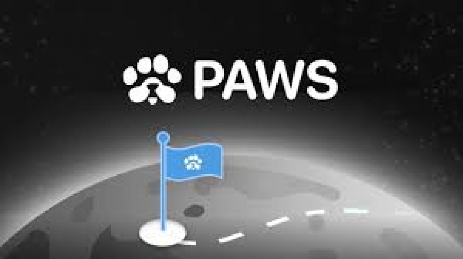 لیست-شدن-توکن-paws-در-۱۸-مارس