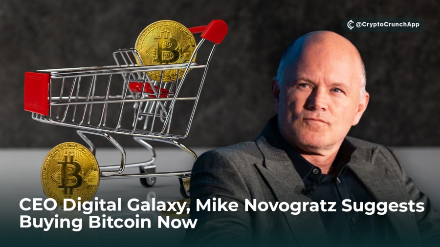 مایک-نووگراتز،-مدیرعامل-digital-galaxy،-پیشنهاد-خرید-بیت-کوین-را-در-حال-حاضر-می-دهد