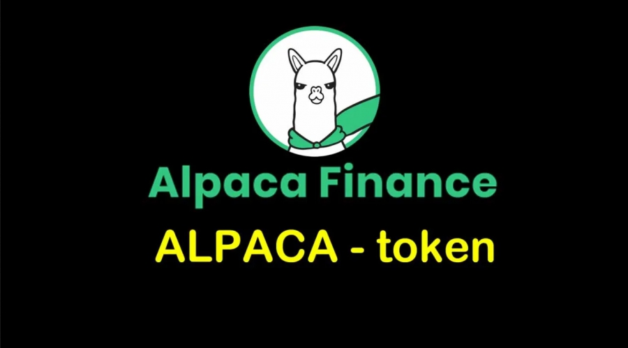 معرفی-ارز-alpaca-آلپاکا