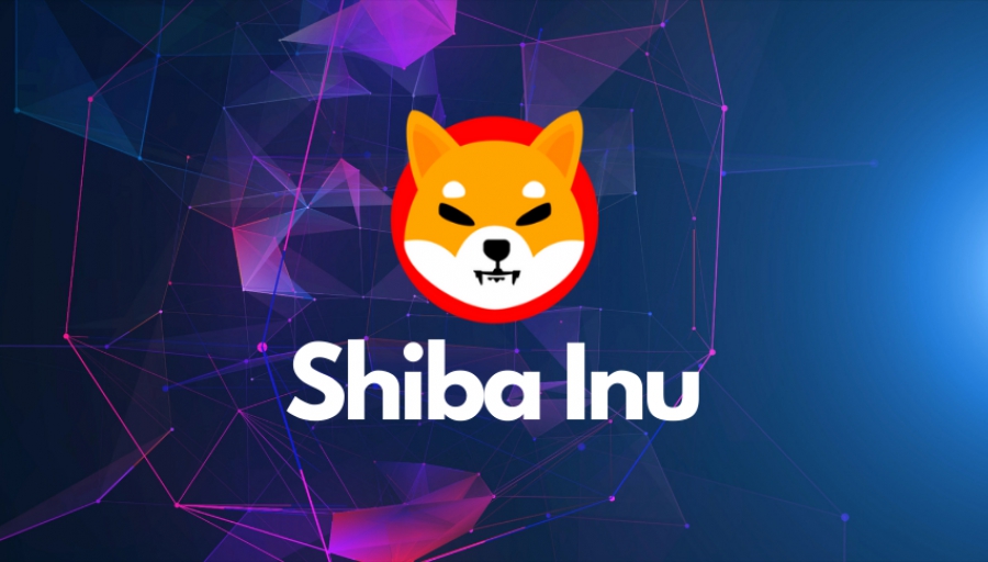 معرفی-ارز-شیبا-اینو-shiba
