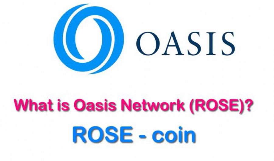 معرفی-شبکه-oasis-و-کوین-rose