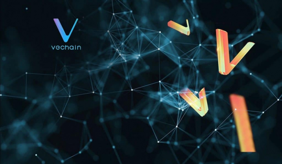معرفی-کوین-وی-چین-vechain