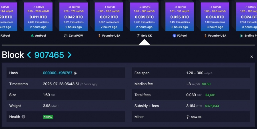 موفقیت-بزرگ-برای-یک-ماینر-تنها