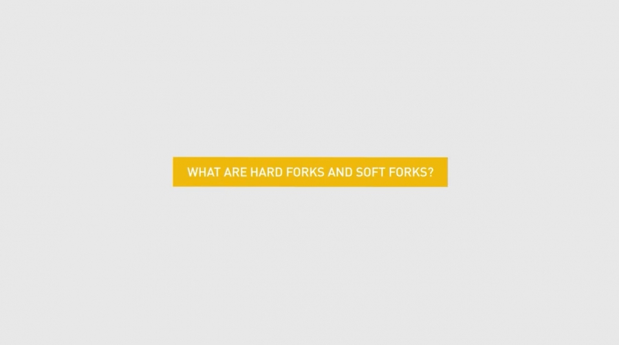 هاردفورک-hard-fork-و-سافت-فورک-soft-fork-به-چه-معنا-هستند؟