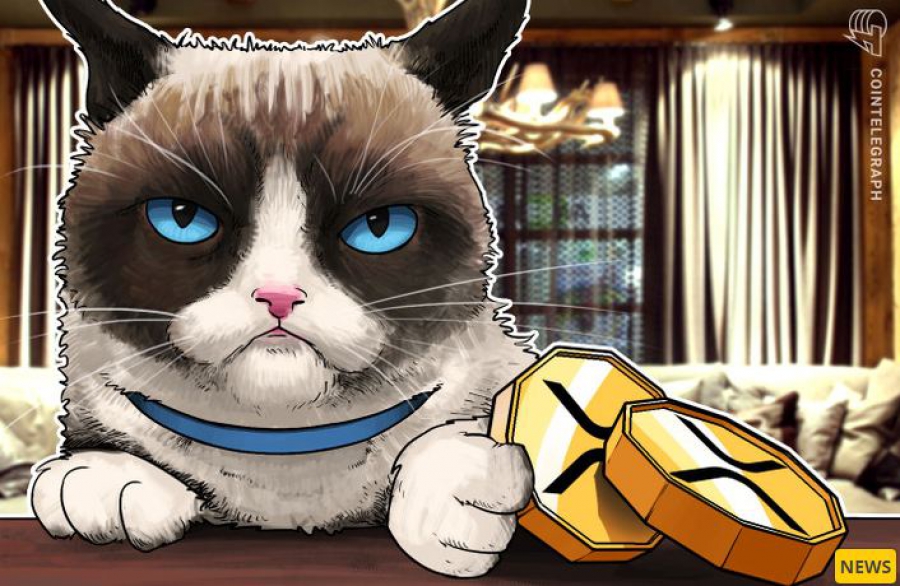 همزمان-با-حذف-xrp-از-اکسچنج‌های-مختلف،-ریپل-متعهد-شد-که-به-«حمله»-sec-پاسخ-بدهد