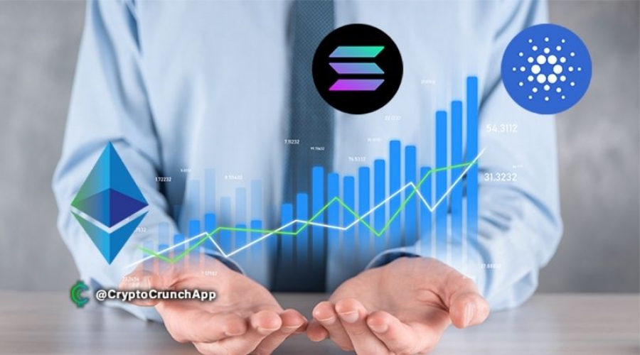 ورود-سازمانها-به-سولانا-و-کاردانو-از-اتریوم-پیشی-گرفت