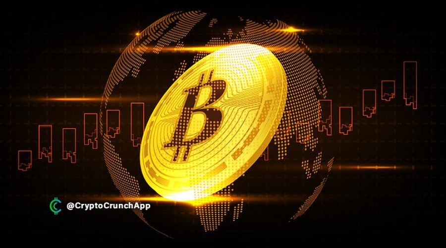 پیش-بینی-می-شود-تا-سال-2030،-استفاده-جهانی-از-بیت-کوین-و-کاربری-آن-به-10-درصد-برسد